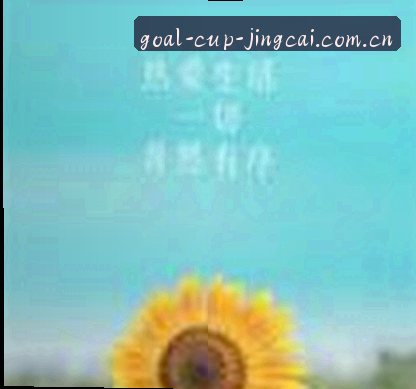 周敏